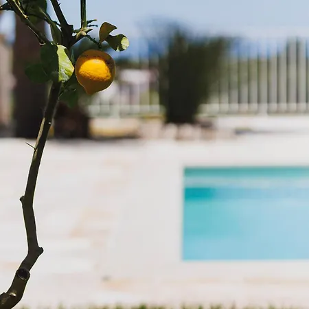 White Stone - Luxury With Swimming Pool Antonelli